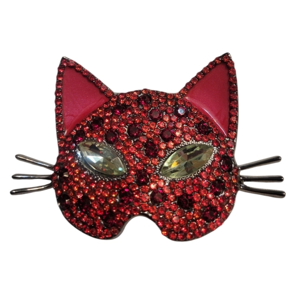 Jewelry - Whimsical Cat Mask Brooch